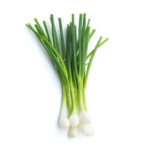 Onion (Spring onion)