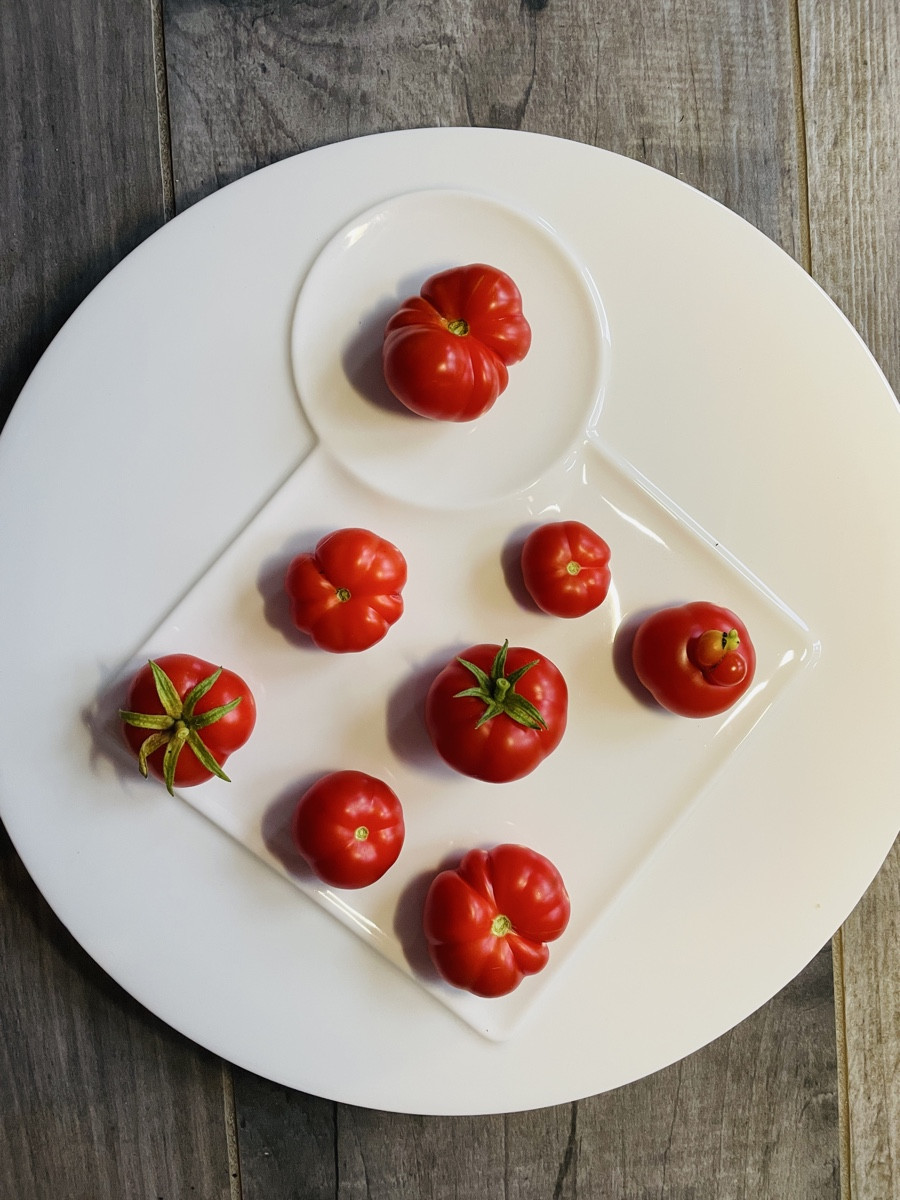 Bei dem Schnuddelwetter kurzes Fotoshooting mit dem heutigen Erntestar: 🍅 @marglobe-185982 

Zum ersten Mal im Program…