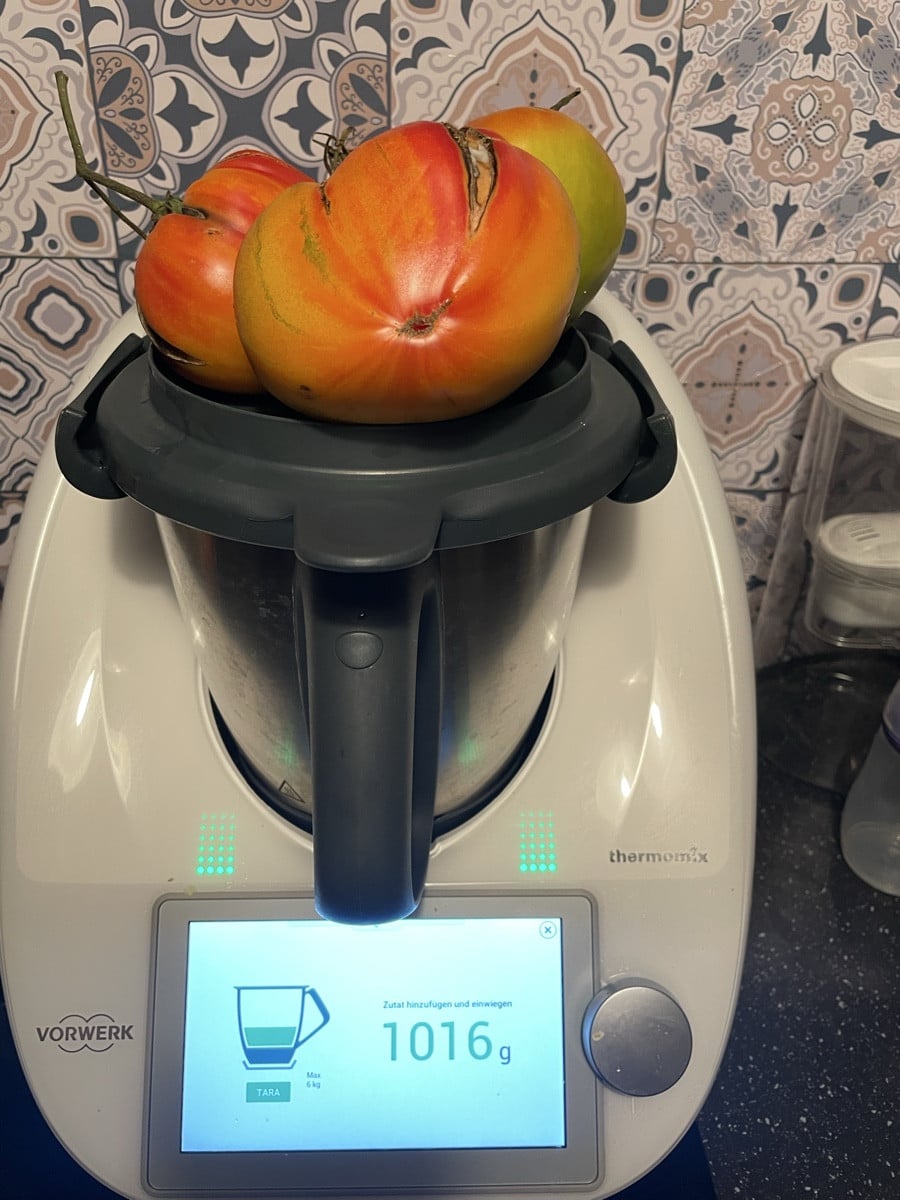 Mein Rekord dieses Jahr! Die größte Tomate wog fast 373 g! Obwohl ich viele verschiedene Tomatensorten angebaut habe, s…