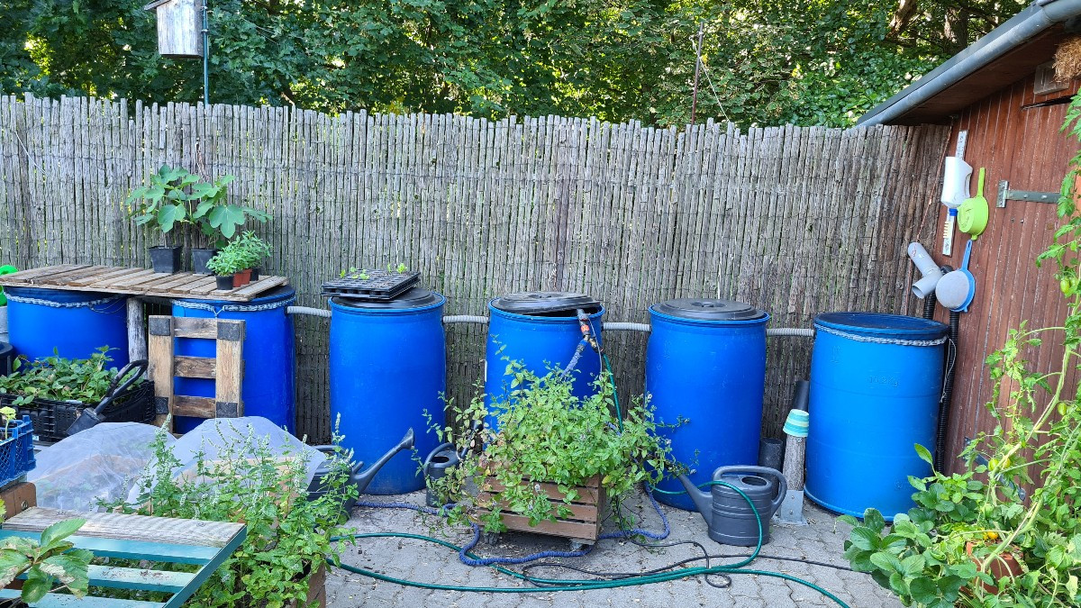 Temperiertes Wasser ist besser, vor allem Gurken sind da Pingel. Falls du den Platz zwischen den beiden Tonnen nicht br…