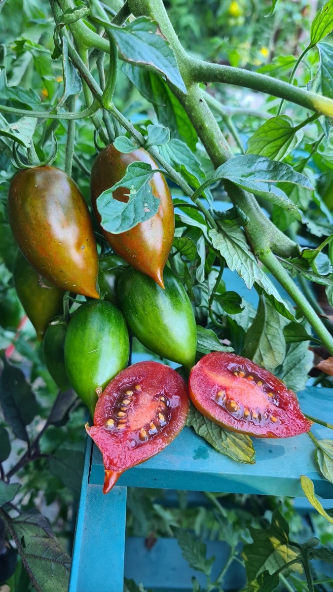 Gartengeschenke