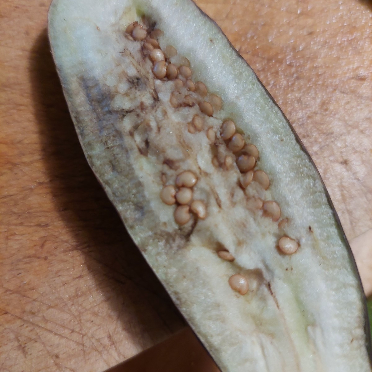 Garten am Dienstag nach der Arbeit. 
Die Sonnenhüte blühen die zweite Runde, nachdem die erste verdorrt ist.
Die Cosmee…