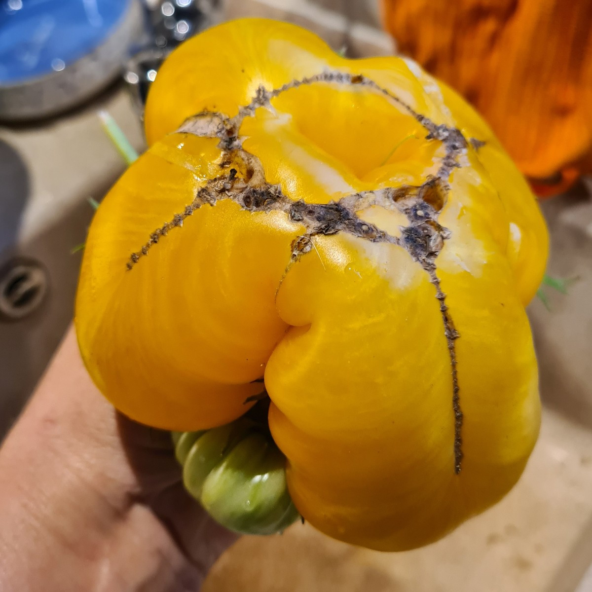 Ein Herz für Tomaten! Man kann nie genug Tomaten haben....