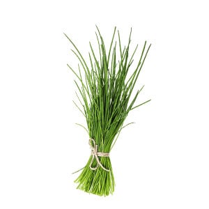 hanf dnger toom EMISTO BIO Hanf Dnger  organisch fr Cannabis kaufen