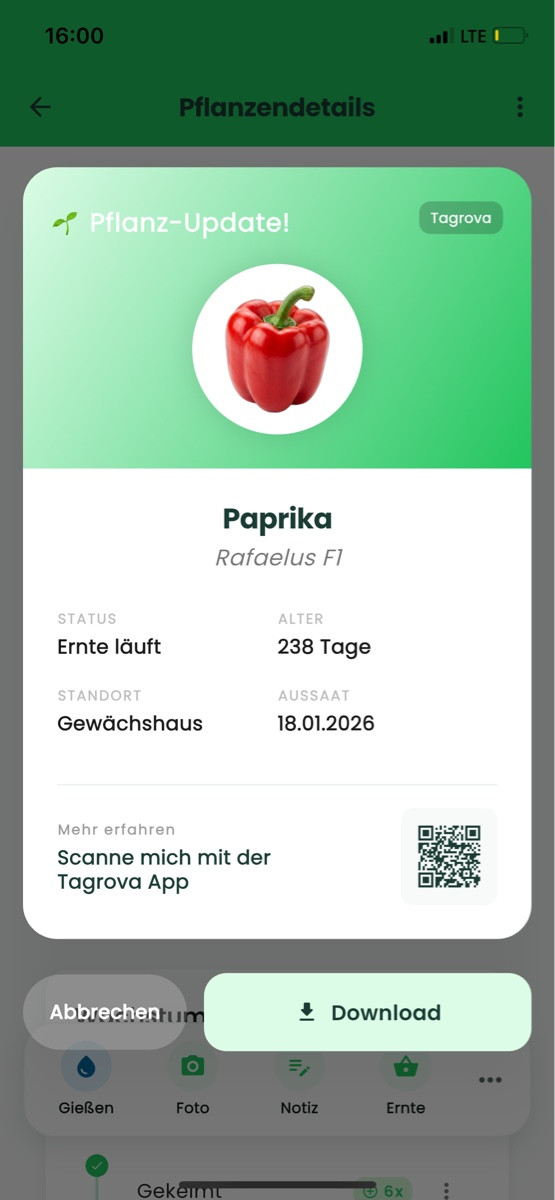 https://app.tagrova.com/p/qIOGkroGX3Gx22PvdaYb