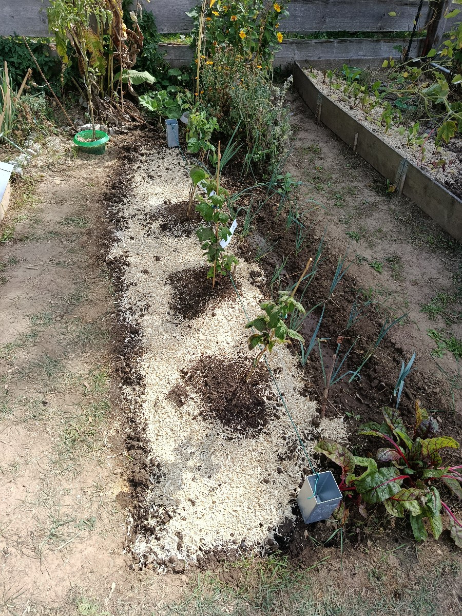 Heute sind schon die Himbeeren gekommen und so musste ich schnell handeln, solange das Wetter noch passt. Zucchini und …
