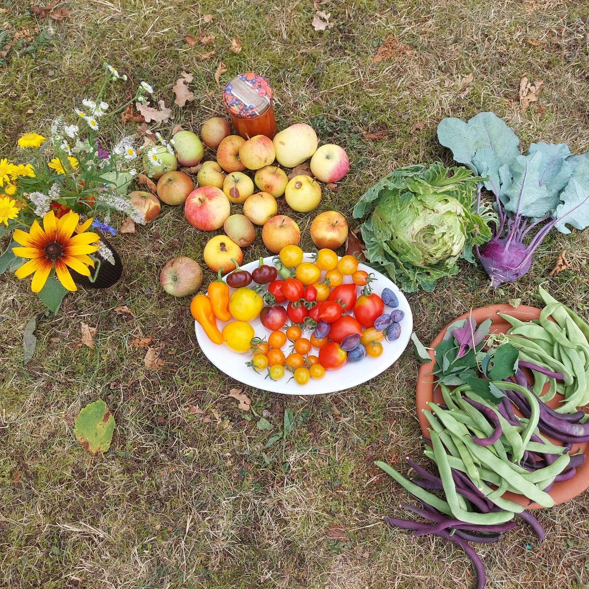 #Einkaufenimgarten
Die Tomaten werden mehr. So schön bunt.
Mal sehen, was mir von den Schnecken(?) vom Weißkraut übrig …