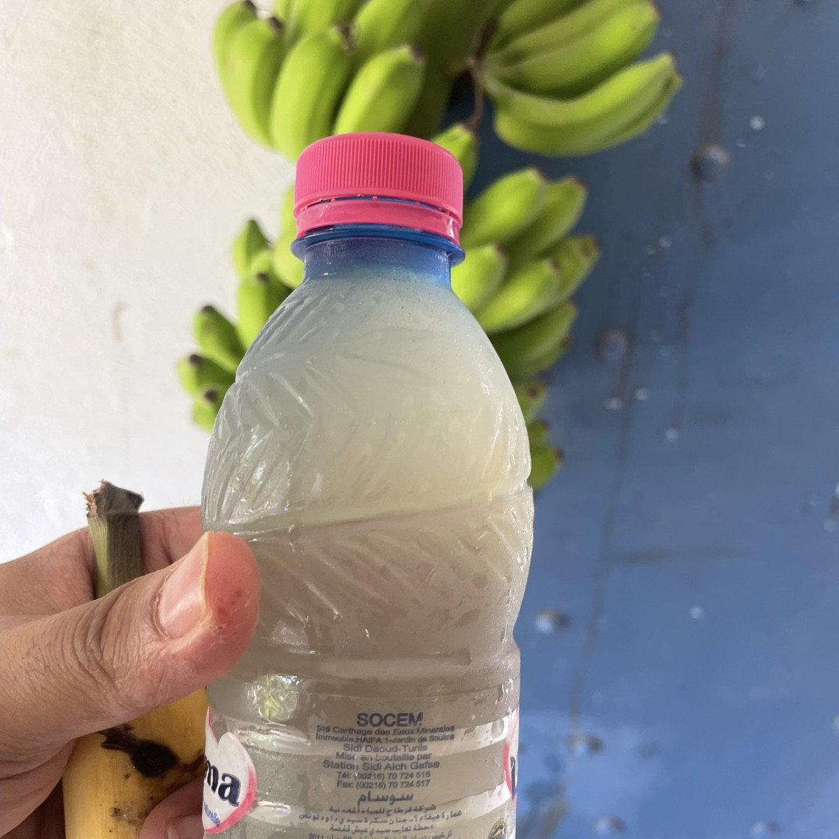 Südtunesien 🌴☀️
Legmi – frischer Palmensaft direkt von der Palme 🌴🥤, dazu Bananen, Trauben, Oliven und vieles mehr
I…