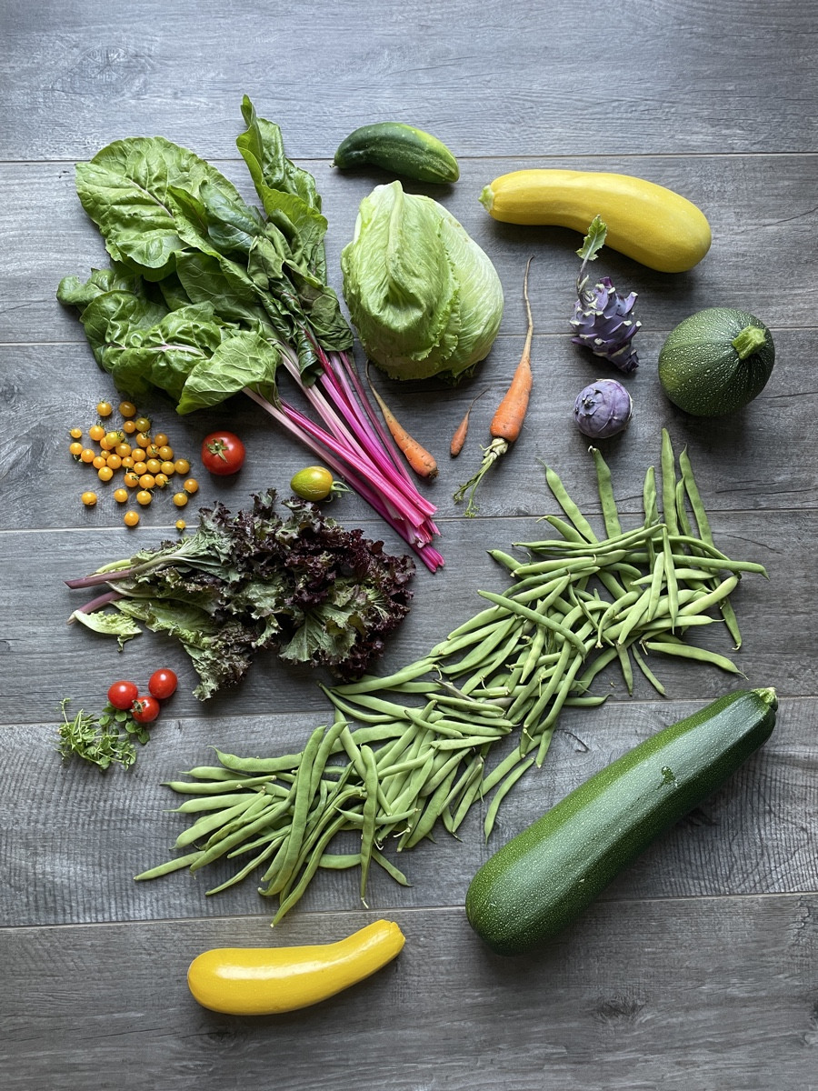 #einkaufenimgarten 

die Zucchini ist innerhalb weniger Tage explodiert 🫣