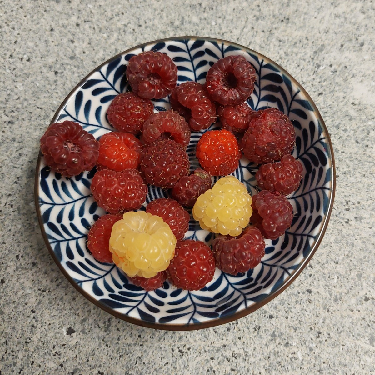 Wer sagt, es sei schon Winter?
Bei mir ist noch Sommer! 
😉
Naja, finden zumindest die Himbeeren...