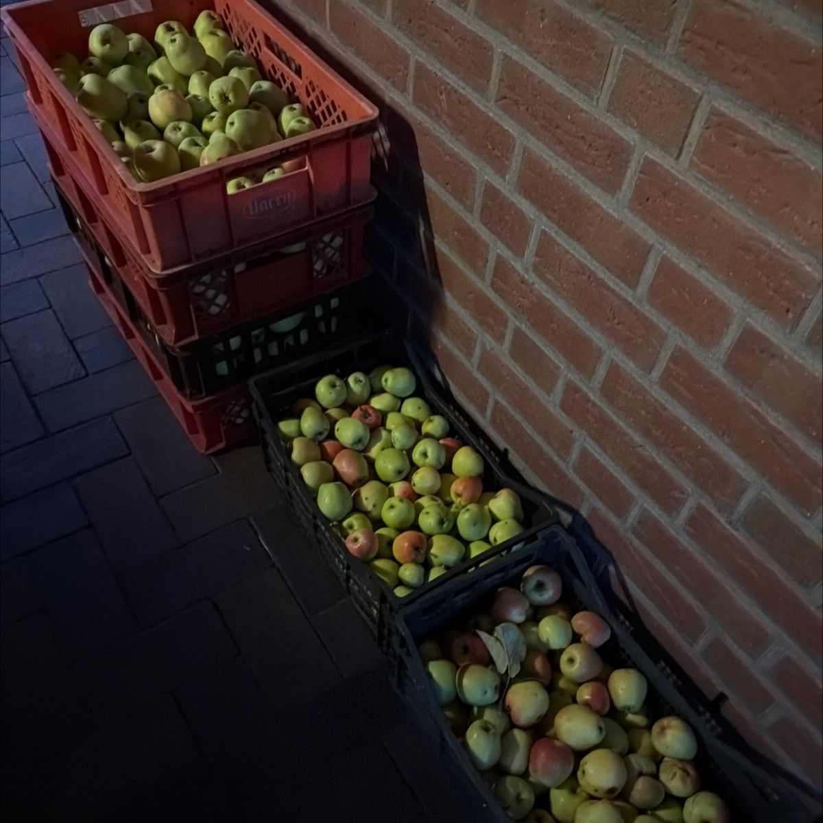 @sanddorn-188907 gibt alles. Er steht jetzt seitdrei Jahren. Letztes Jahr ein Marmeladenglas. In 2026 nun 1,2 kg und es…