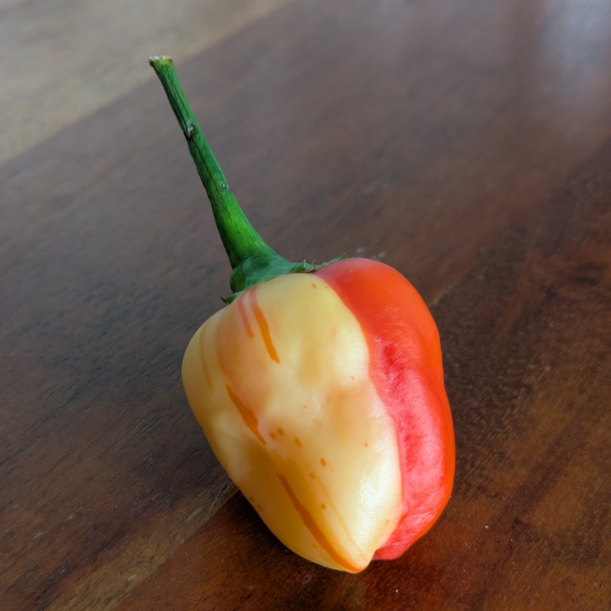 Ich hab die passende Chili dazu! 😅
Peppa Peach Stripey hat aber von sich aus schon Musterung.