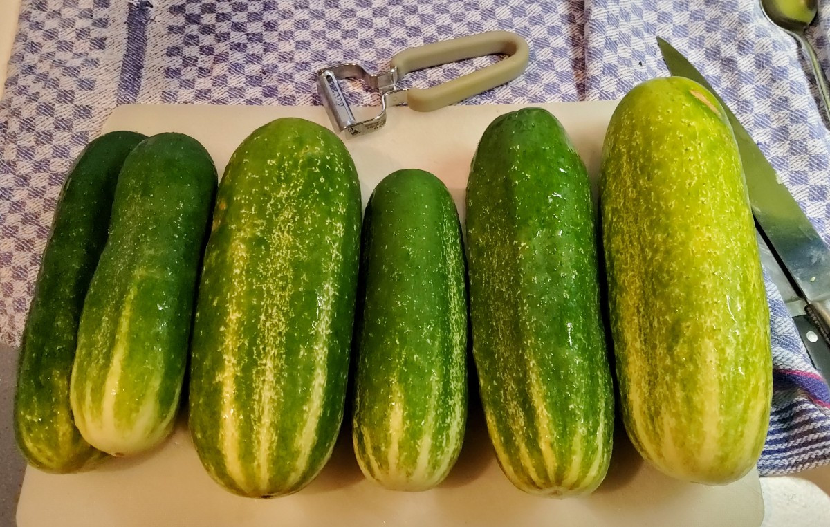 ...das Ende der (Einlege)Gurkensaison bedeutet für mich, Senfgurken zu machen! 😋... Die Gurken schälen, halbieren, das…