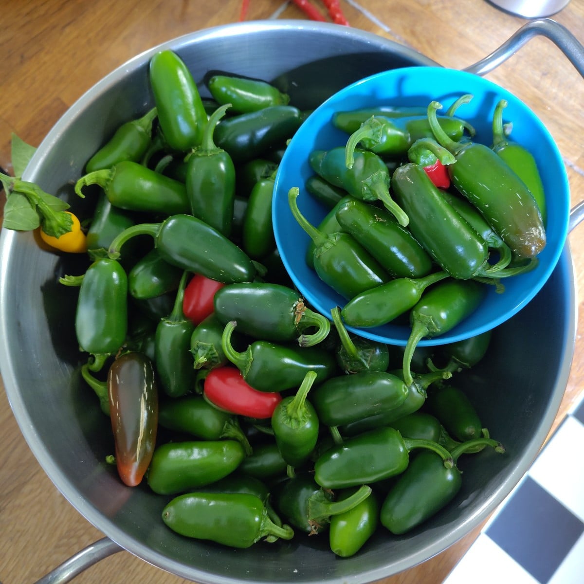Endlich genug Jalapeno zum Einlegen 😊