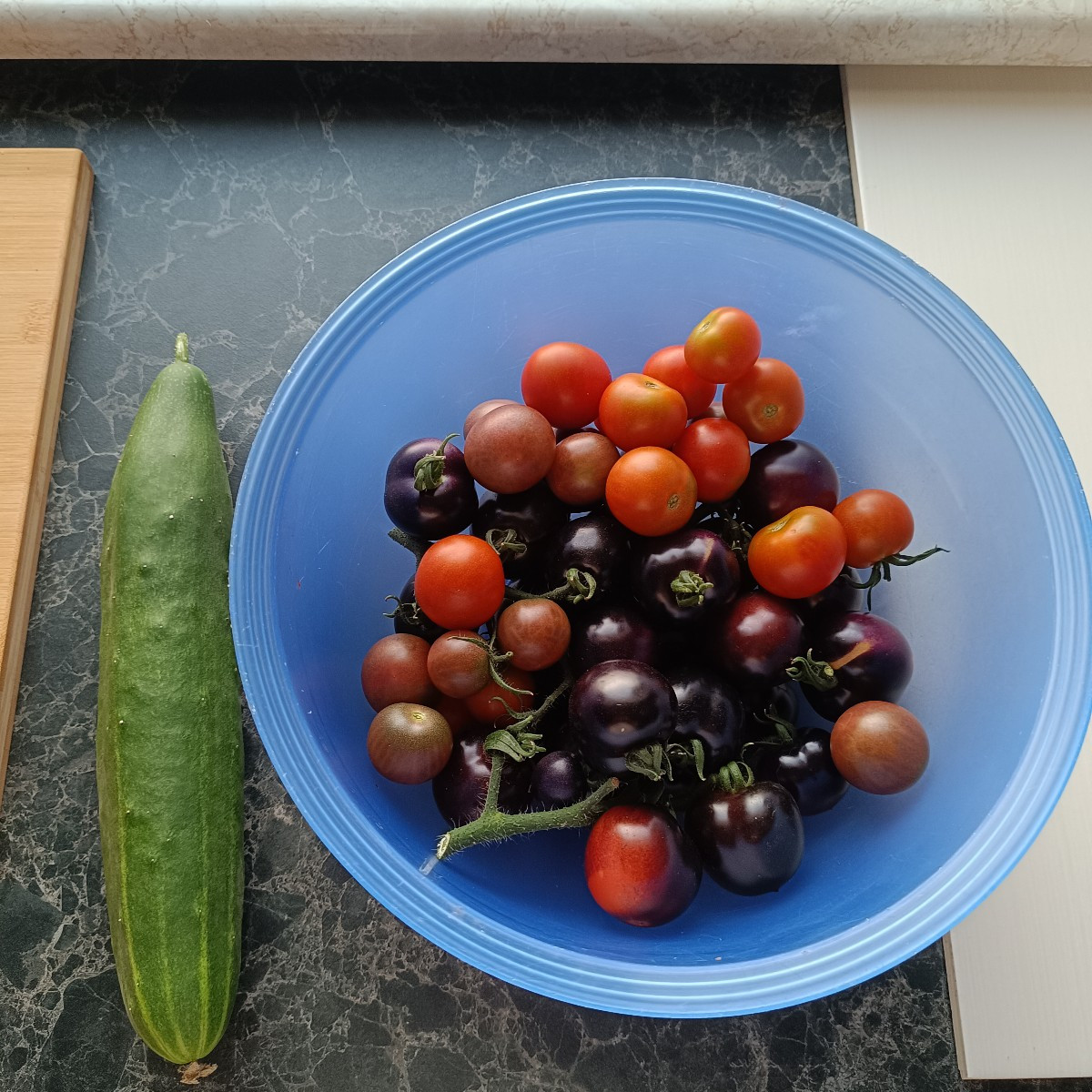 Größere Ernte aus unserem Garten.
Wir ernten zur Zeit jeden Tag mindestens eine handvoll Tomaten und jede Woche mindest…