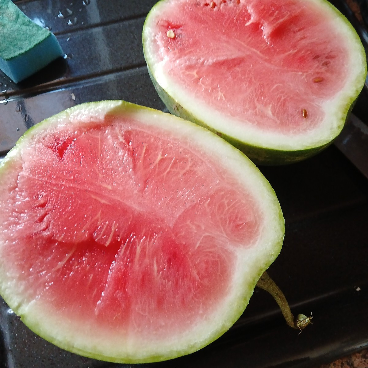 Gestern war Schlachttag.
Die Erste und Einzige Wassermelone.
Innen noch etwas rosa, aber schon süß und saftig.