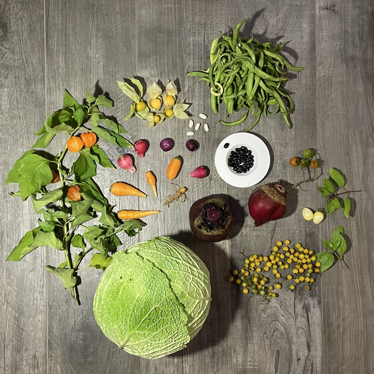 #herbsternte 

die letzten Bohnen, die letzten Tomaten, der letzte Wirsing, neue Radieschen, Möhren, Bete, Basilikum, B…
