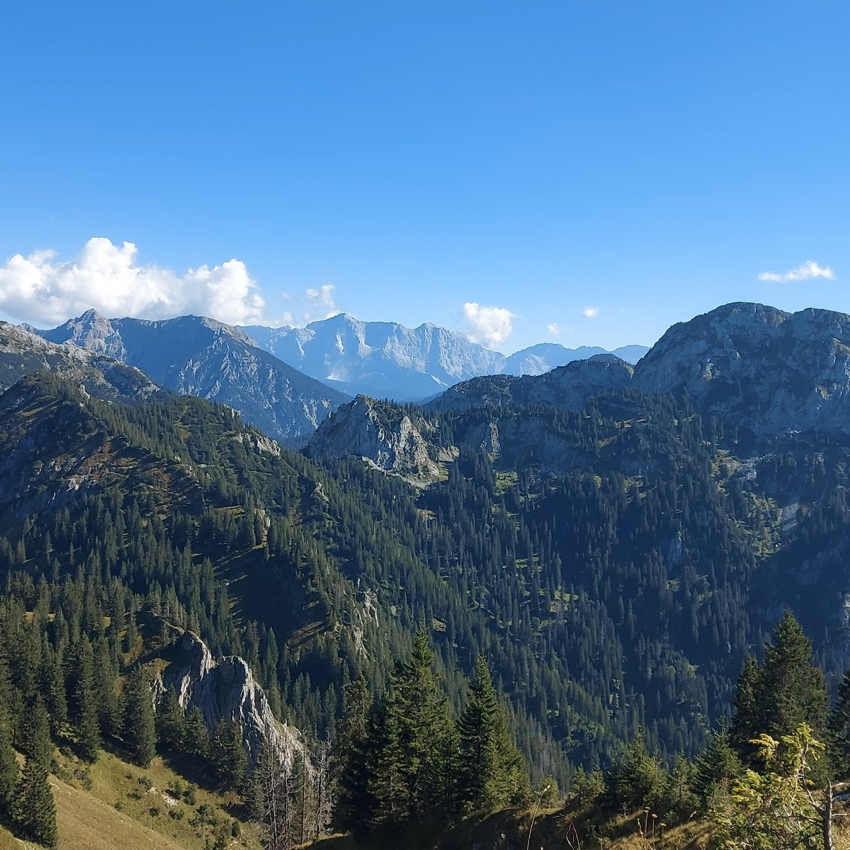 Ich war bis Donnerstag auch im Allgäu 🥰
1x im Jahr ein MUß 
Wir lieben die Berge ❤️