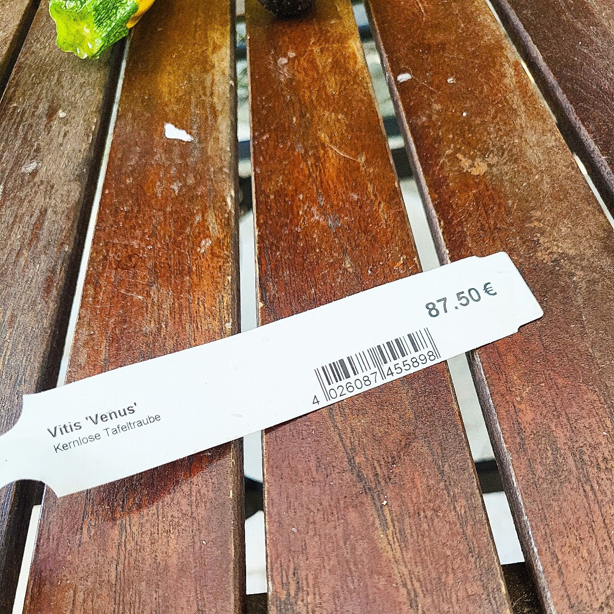 Ich habe die hellen kernlosen Trauben von der Nachbarin,  ich frage mal nach. Ich habe eine dunkle kernlose Sorte 'Venu…
