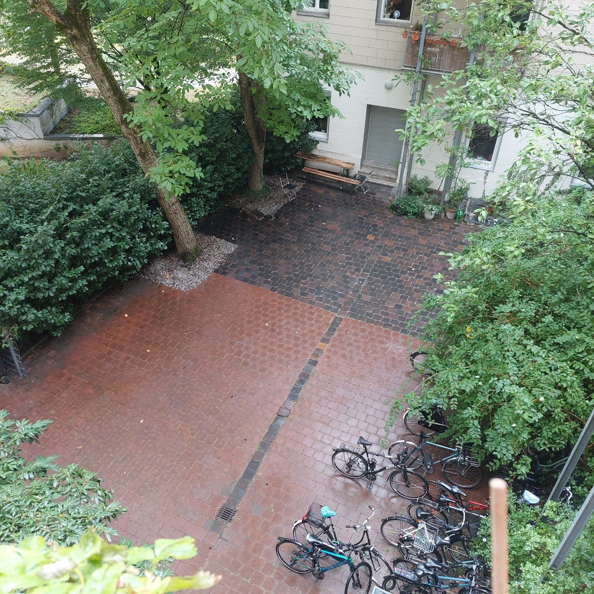 Naja....
Nein, mein Garten ist wo anders.
Und der Hof ist gepflastert. Hat aber zwei riesige Walnussbäume, eine (schrec…