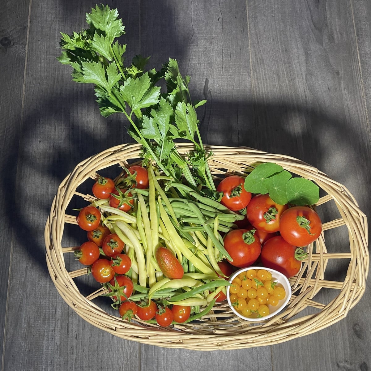 Tomaten- und Bohnenliebe
