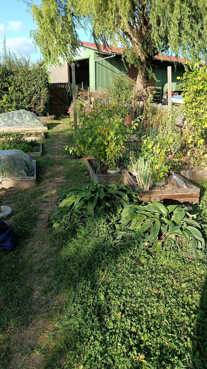 Ein paar herbstliche Impressionen aus dem Garten. Eine schöne Stimmung gegen Abend. Musste heute die Stauden und Sträuc…