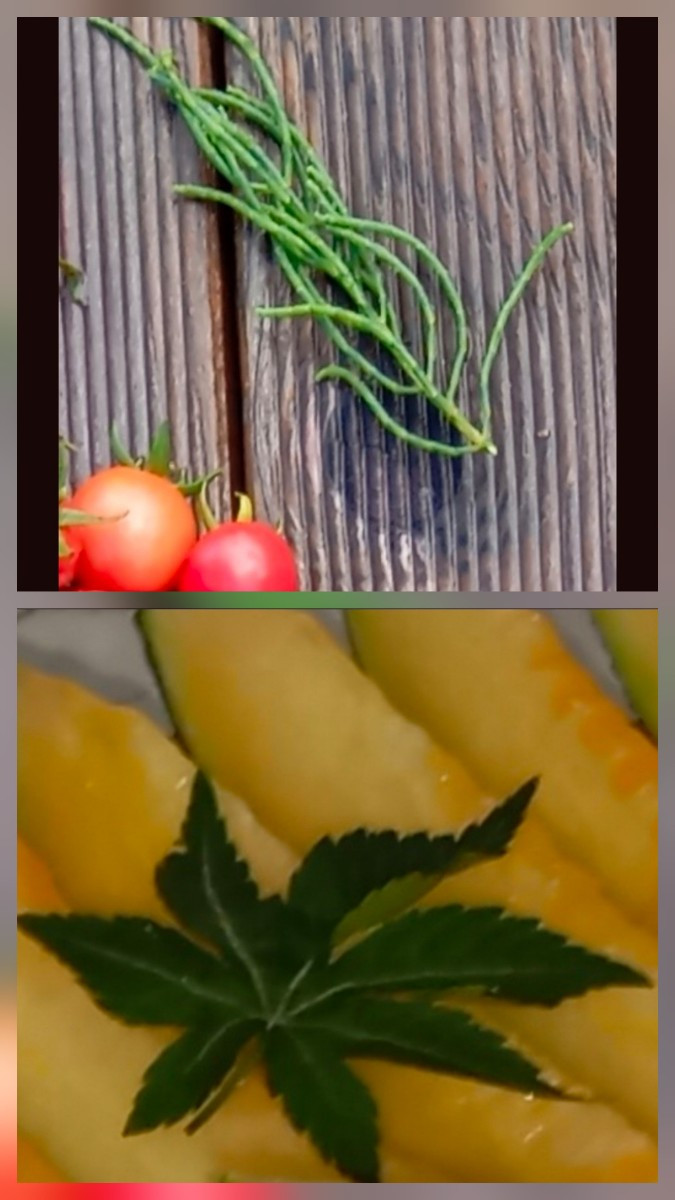 Warte, das sind doch verschiedene Pflanzen, oder????!