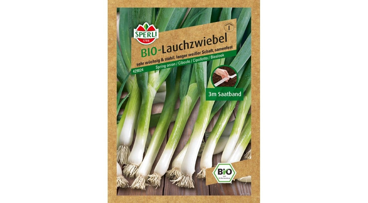 Zwiebel (Frhlingszwiebel): Anbauen, ernten & gute Nachbarn
