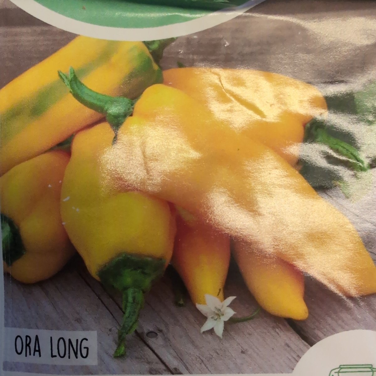 Ora long