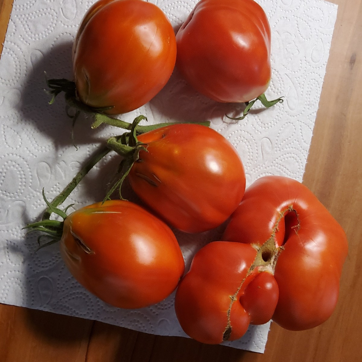 Meine #Sommerküche Teil 15
➡️ GNUDI AN TOMATENSUGO ⬅️
...heute mal wieder Spontanküche, die verdammt lecker schmeckt!
.…