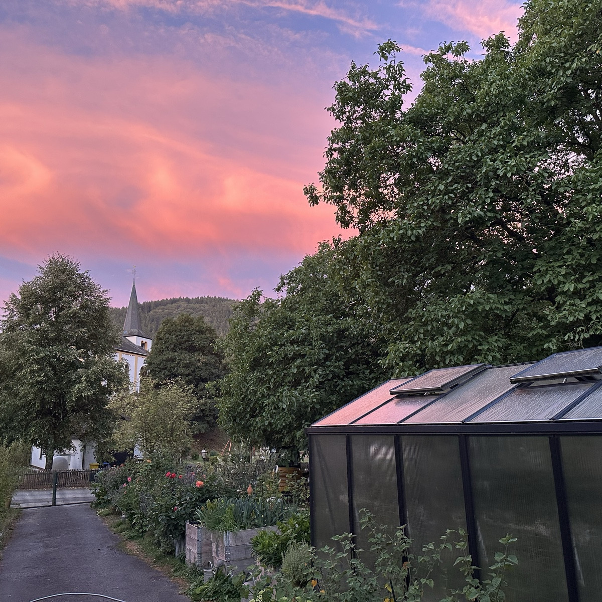 Guten Morgen ☀️ 