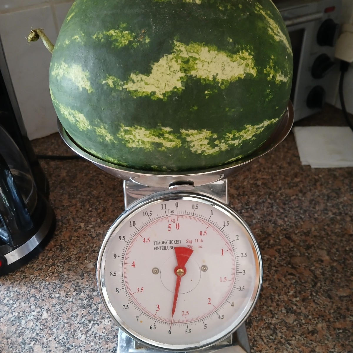 Gestern war Schlachttag.
Die Erste und Einzige Wassermelone.
Innen noch etwas rosa, aber schon süß und saftig.