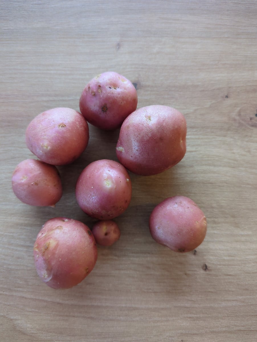 Ich habe dieses Jahr einmal den Versuch gestartet Kartoffeln aus Samen zu ziehen, da das neue Beet erst Ende Mai fertig…