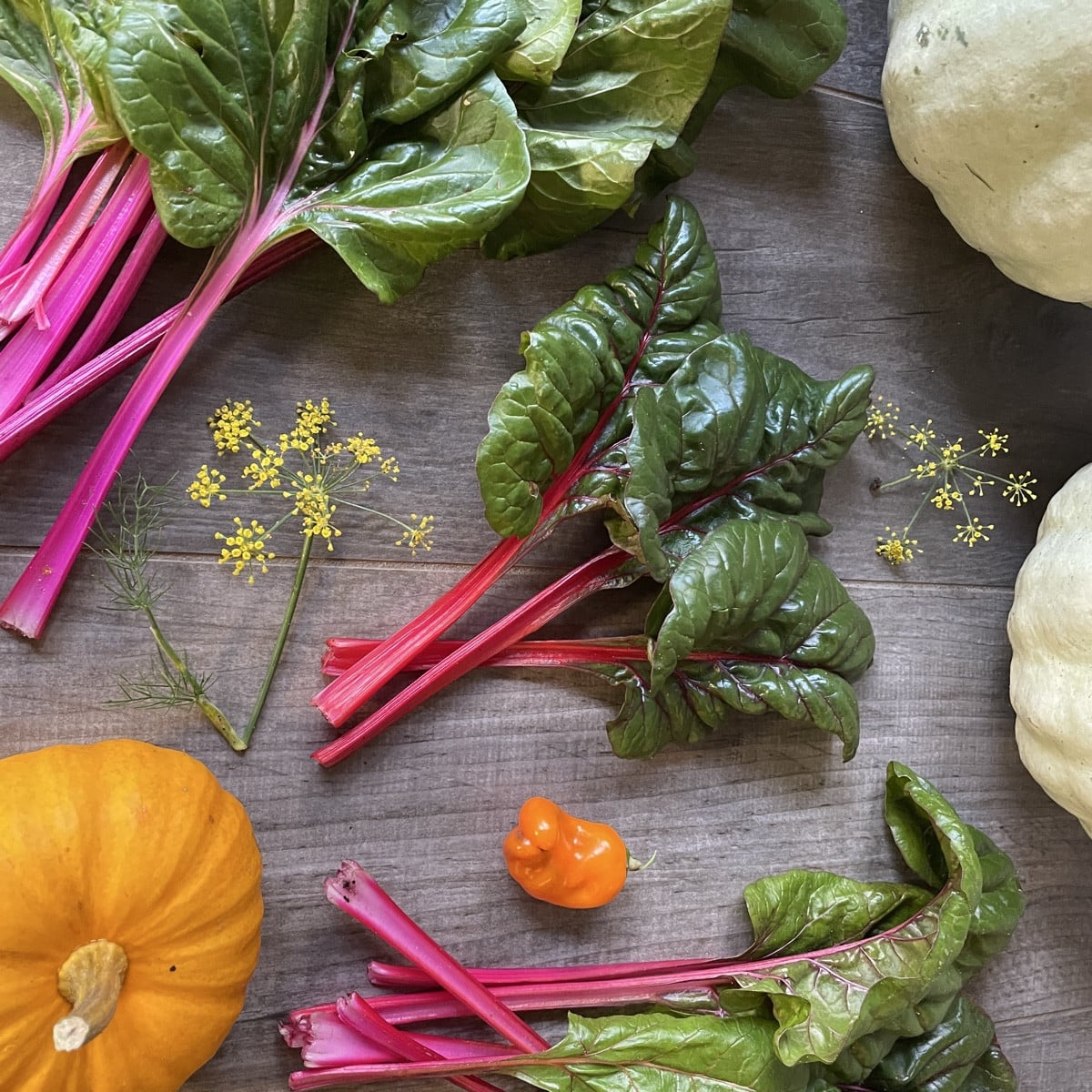 #fallharvest
#fallcolors