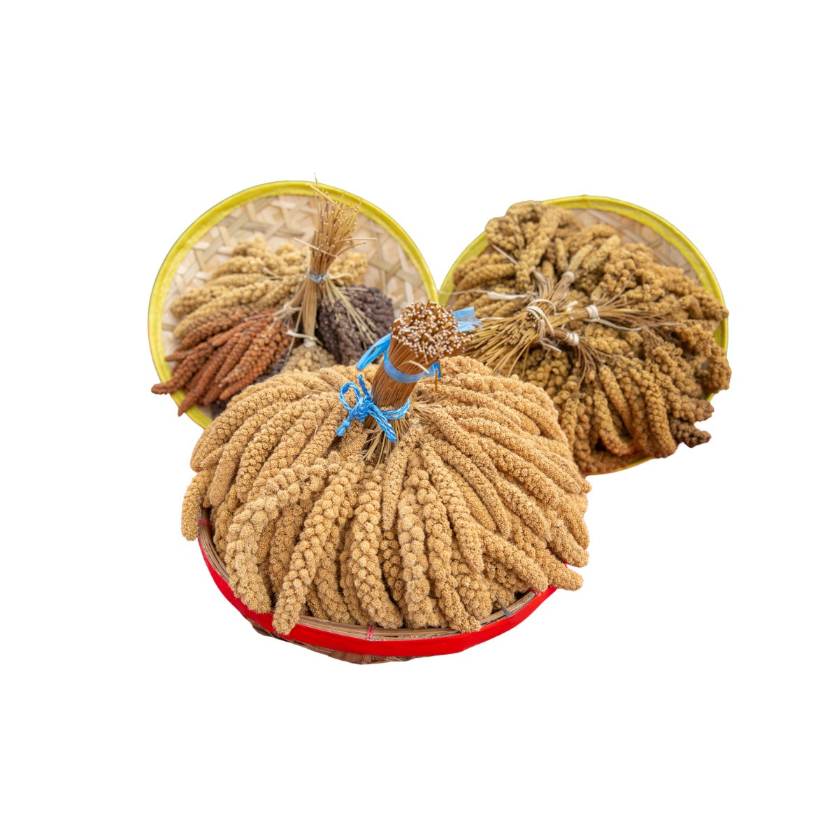 Herbstfeuer (Kolbenhirse)