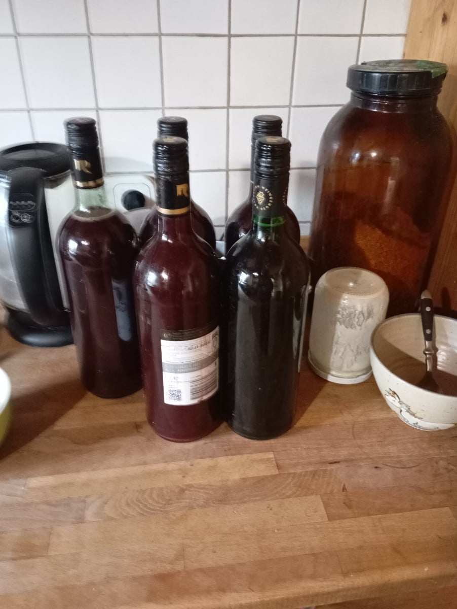 Heute Holunder, Birnen Saft hergestellt Tomaten Rot und Gelb geerntet gestern meinen Pflaumenbaum gelehrt meine totholz…