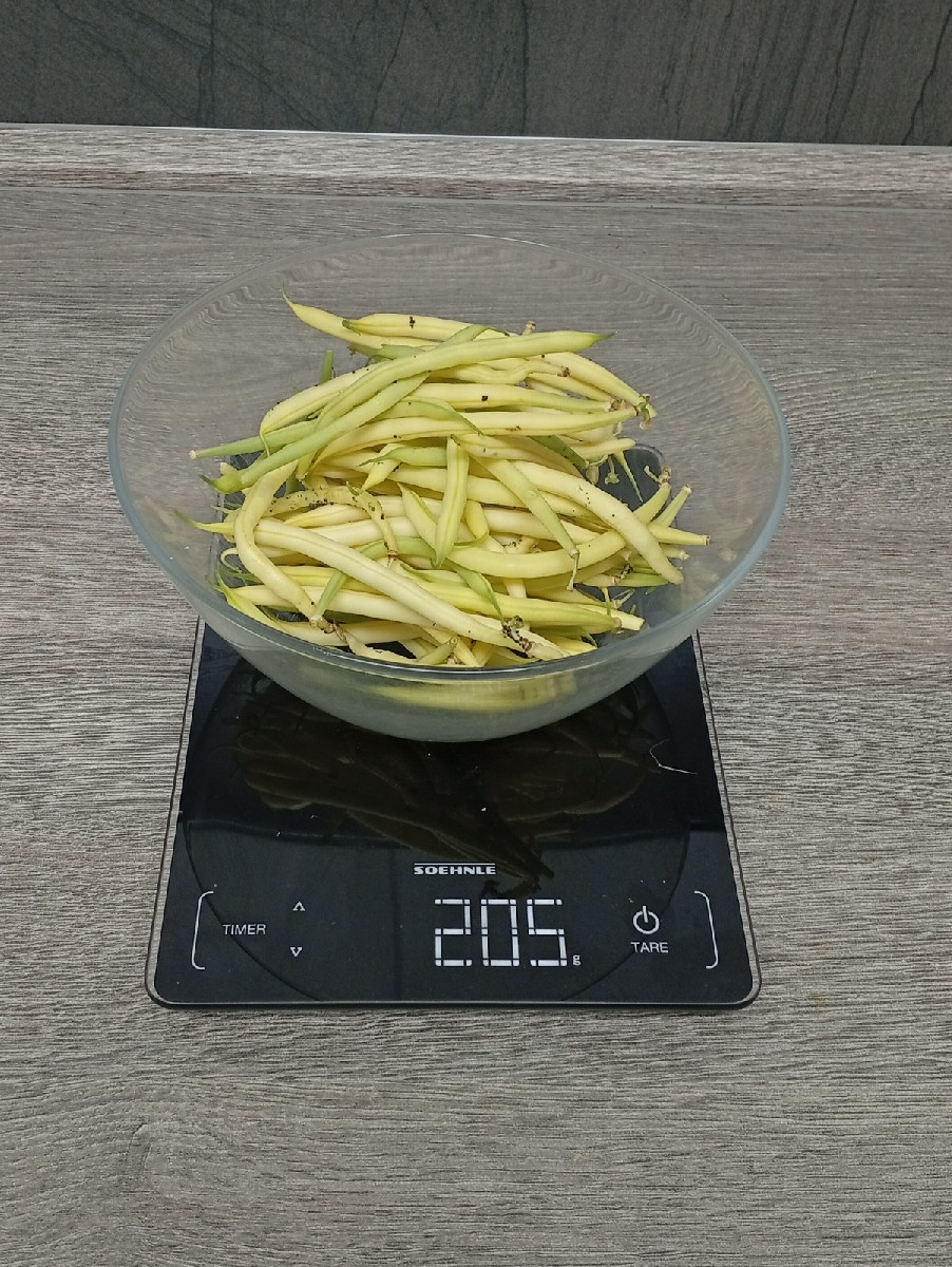 Heute gingen wir #einkaufenimgarten . Eine Kostprobe für unsere lieben Nachbarn als Überraschung. Die 45 cm lange Zucch…