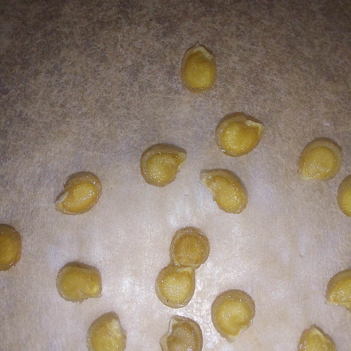 My first attempt at collecting tomato seeds myself.
Have they sprouted yet? Did I leave them in the water too long?