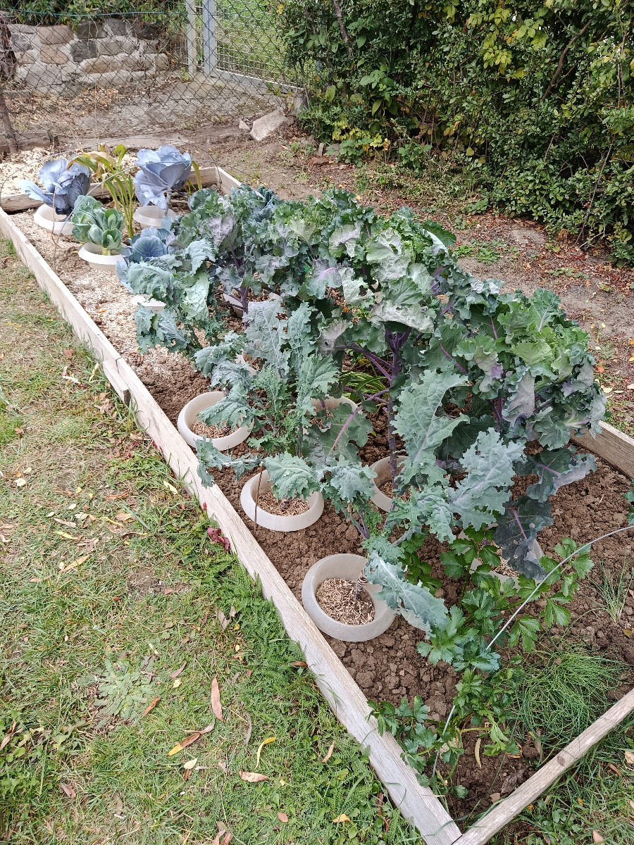 Heute habe ich angefangen den Garten winterfest zu machen. Das heißt, Klo mitgenommen, Wasserkanister entleert, Pumpe a…