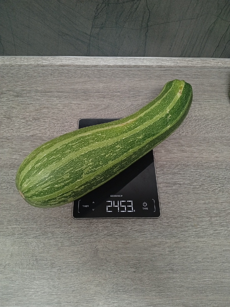 Heute gingen wir #einkaufenimgarten . Eine Kostprobe für unsere lieben Nachbarn als Überraschung. Die 45 cm lange Zucch…