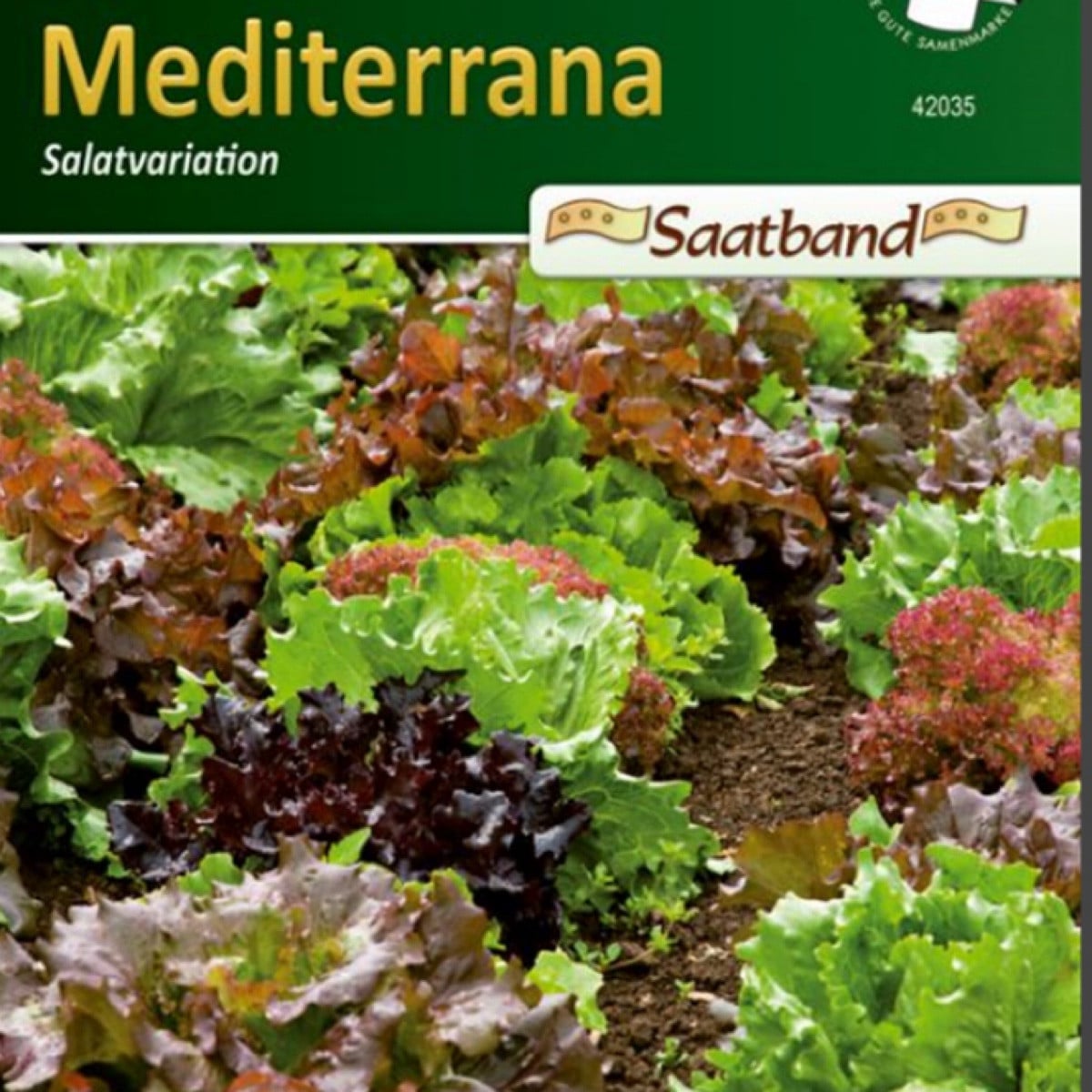 Salatvariation Mediterrana