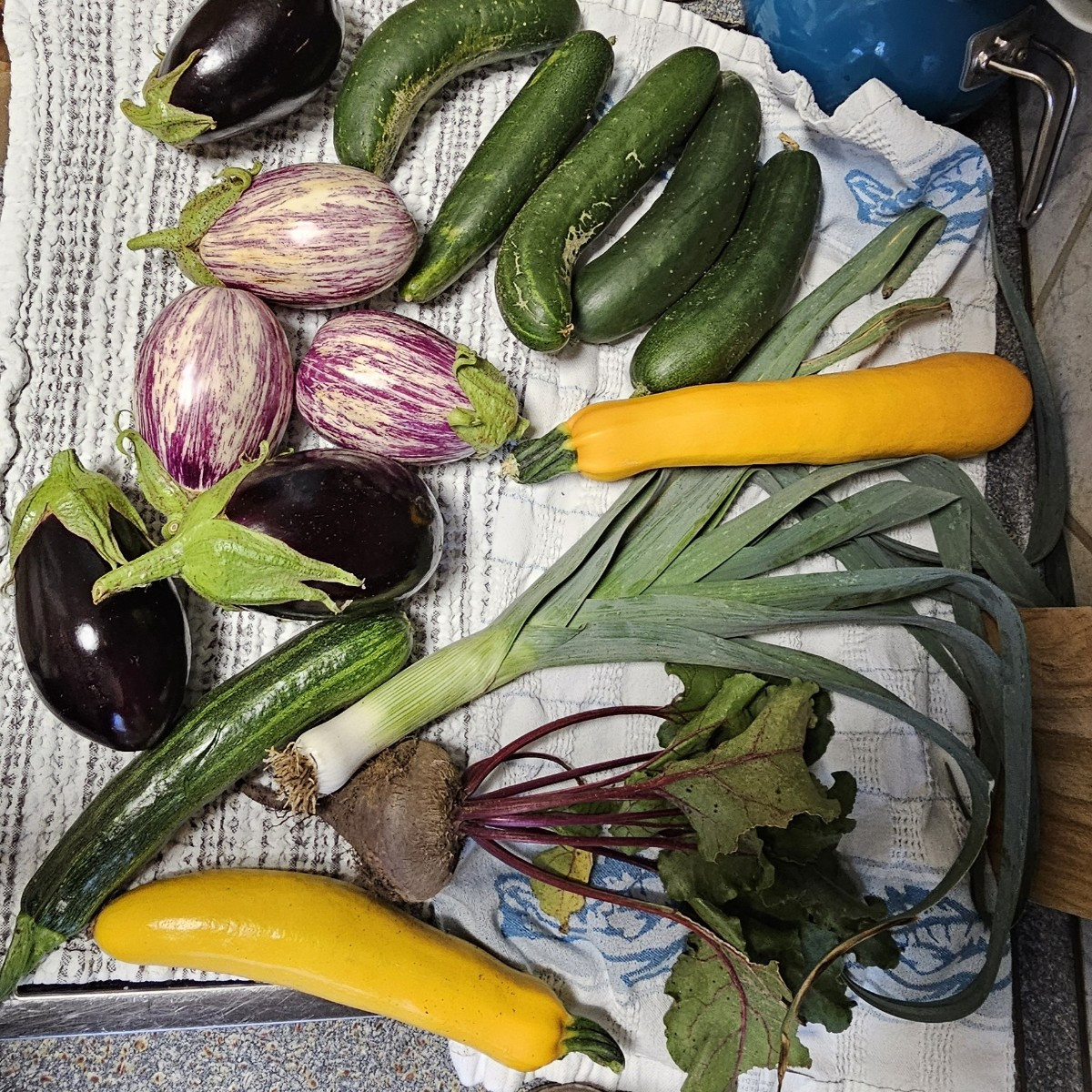 So langsam werden die tomaten. Letztes jahr um die zeit hatte ich kiloweise geerntet und eingemacht. Naja, dafür habe i…