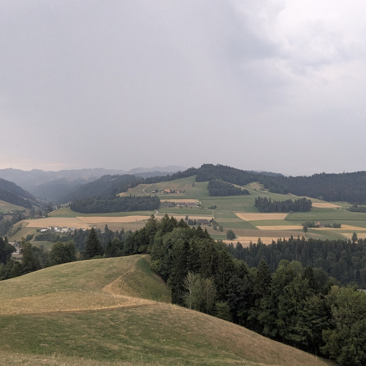 Bilder wie im Herbst, aber endlich gabs n guten Gutsch Regen 🥰
Zwar grad bissl viel auf einmal, für den harten Boden, …