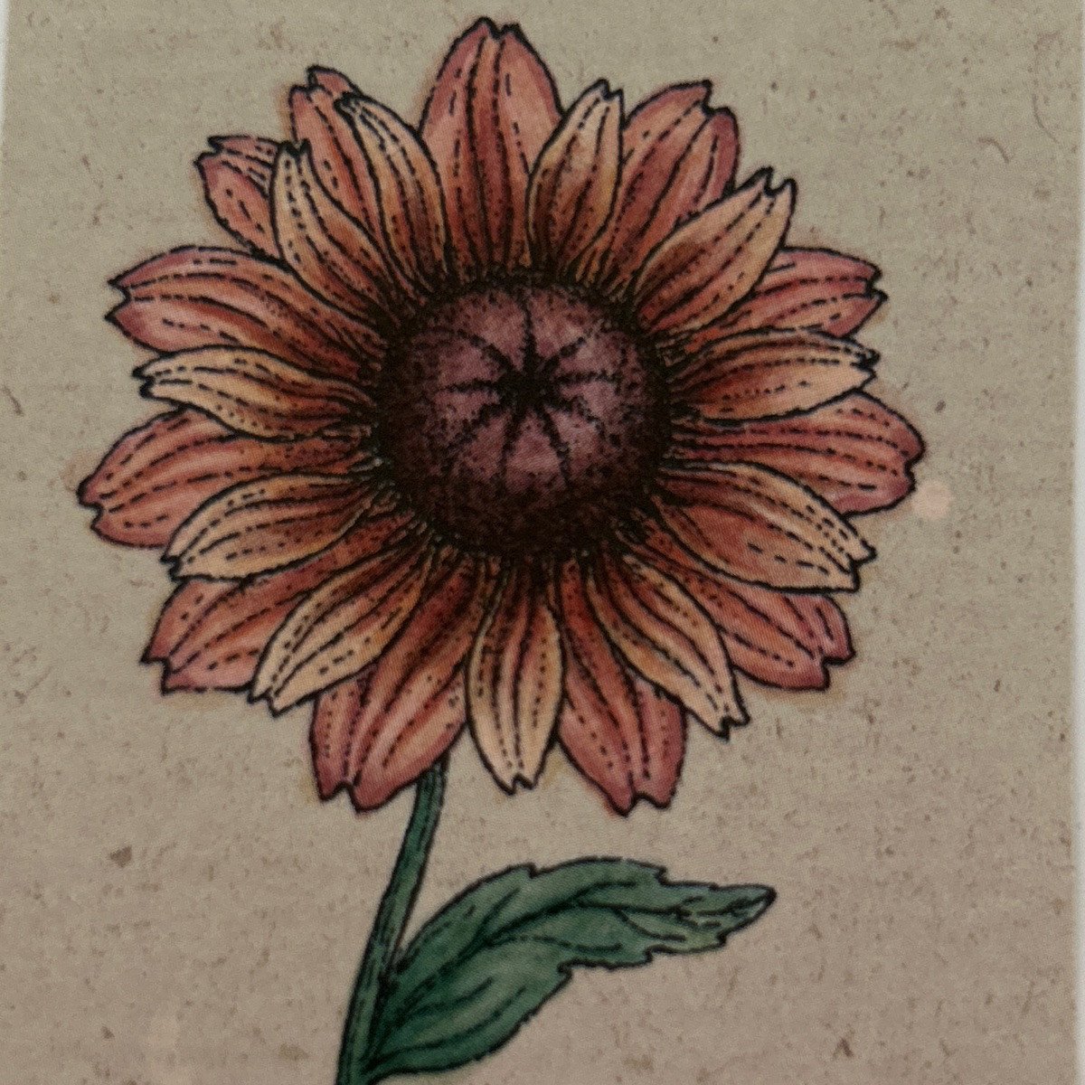 ‚Sahara‘
