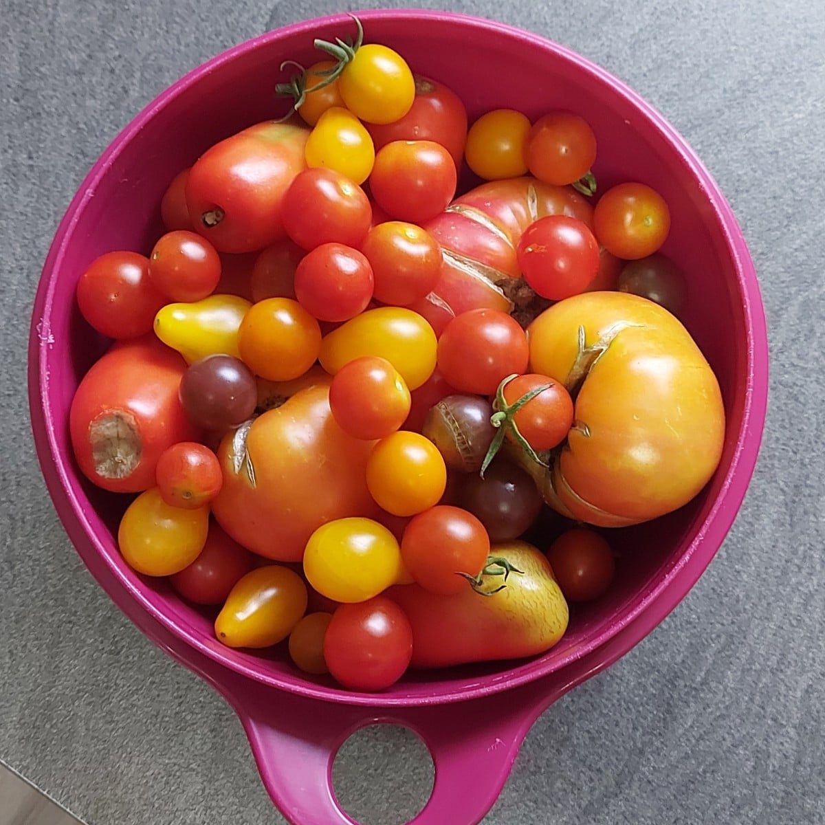 Durfte heute meine Birnen ernten.  3 sind leider faul unterm Baum gelegen dann habe ich mal den Rest gerettet 🥰 ist ei…