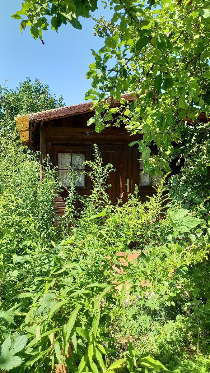 Das ist unser neuer Garten. Ich wäre nicht ich, wenn das nicht wieder eine Herausforderung wäre. Dieser Garten war jahr…