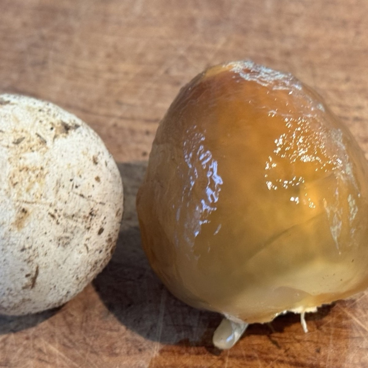 Today I finally went mushroom hunting with a friend.
:-)
I'm happy—I found enough for a meal.
:-D And I'm thrilled beca…