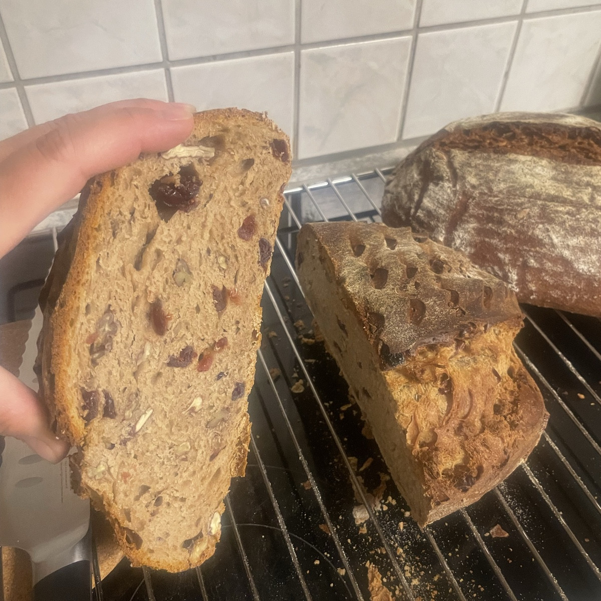 mal wieder gebacken, lievitomadre sauerteig , pekan und cranberry… frühstücksbrot :-)