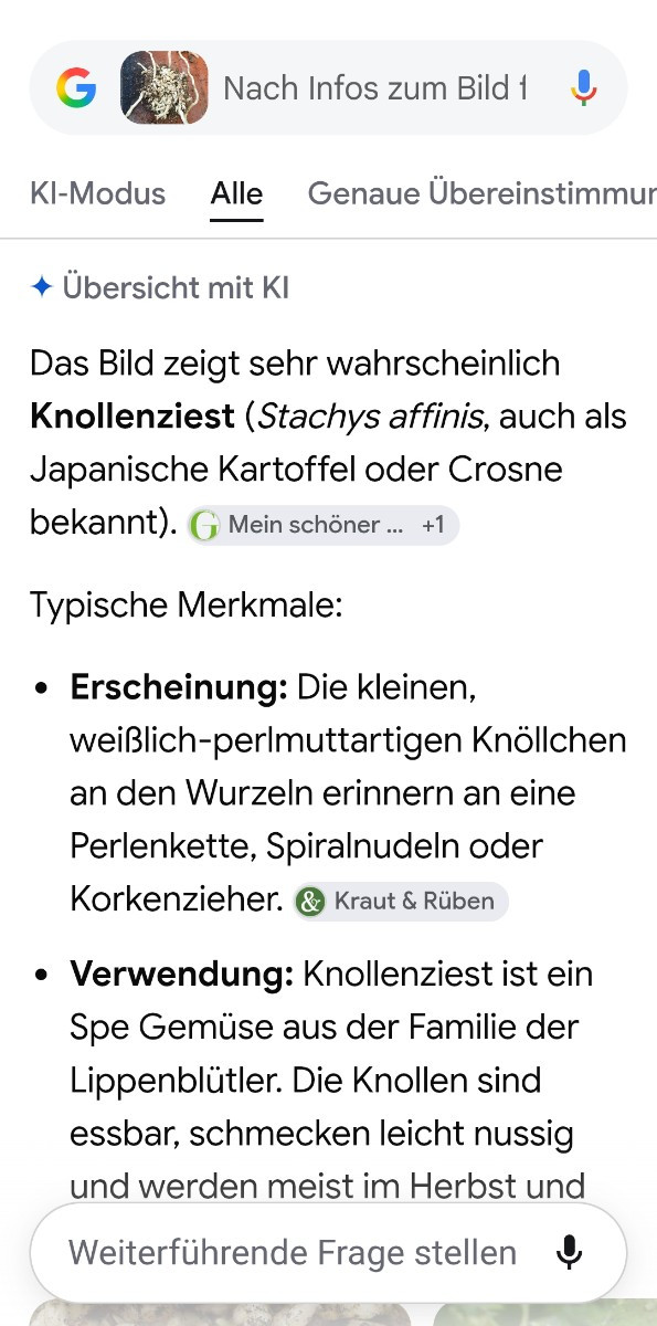 Das hat mein google lens ausgespuckt....