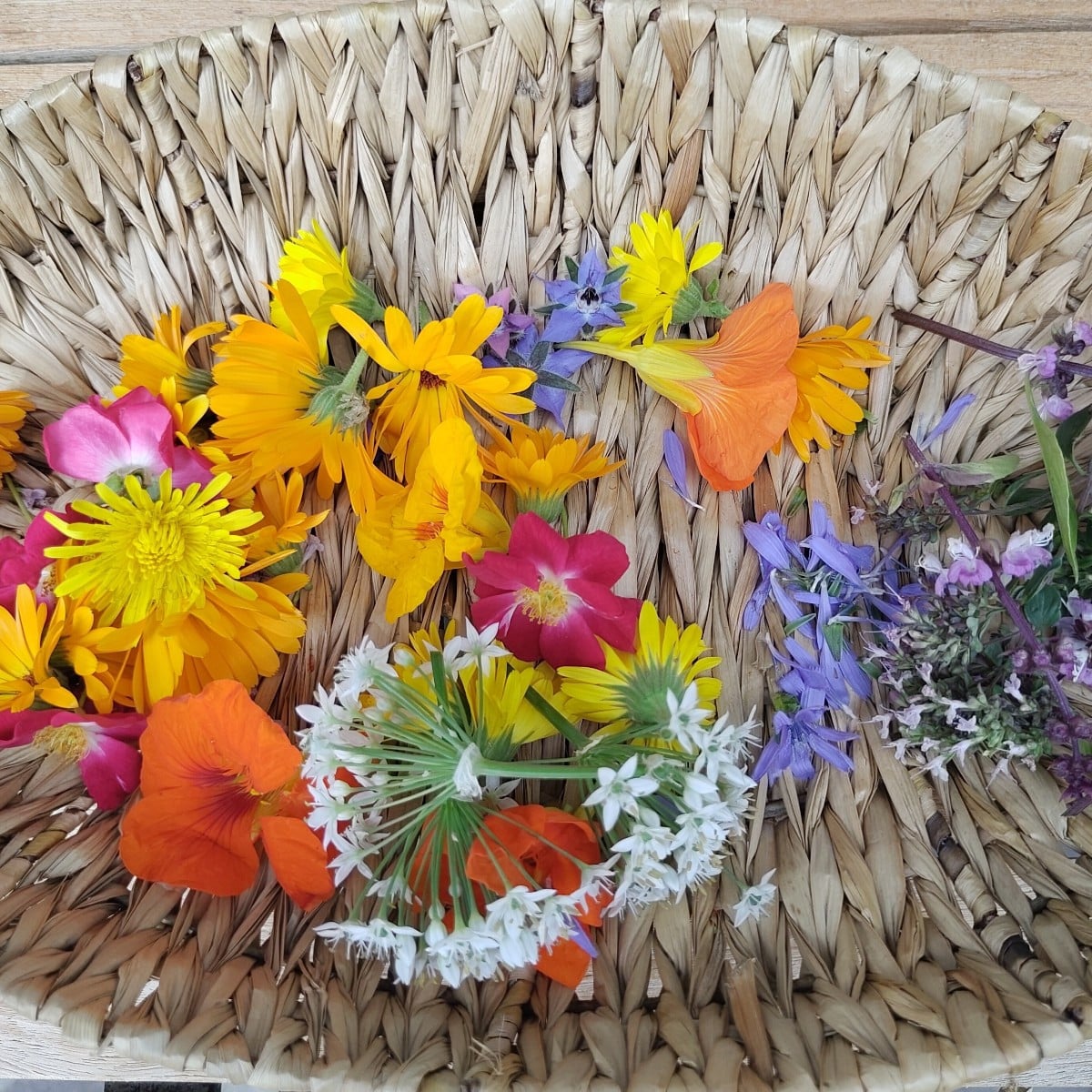 Gestern hab ich für eine Veranstaltung mit Kindern vom Bund Naturschutz Blütenbutter gemacht. Ich bin gespannt, ob sie …